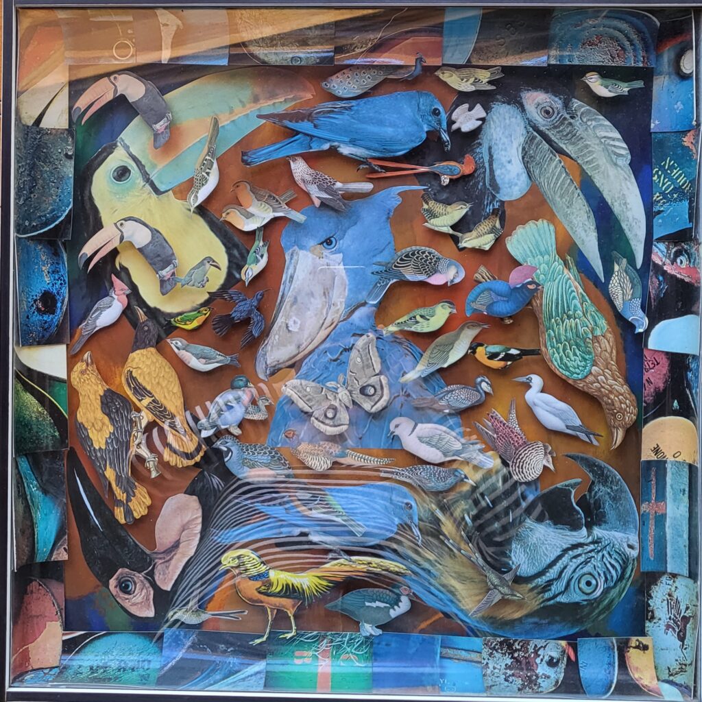 1974 A vol d'oiseaux 50x50