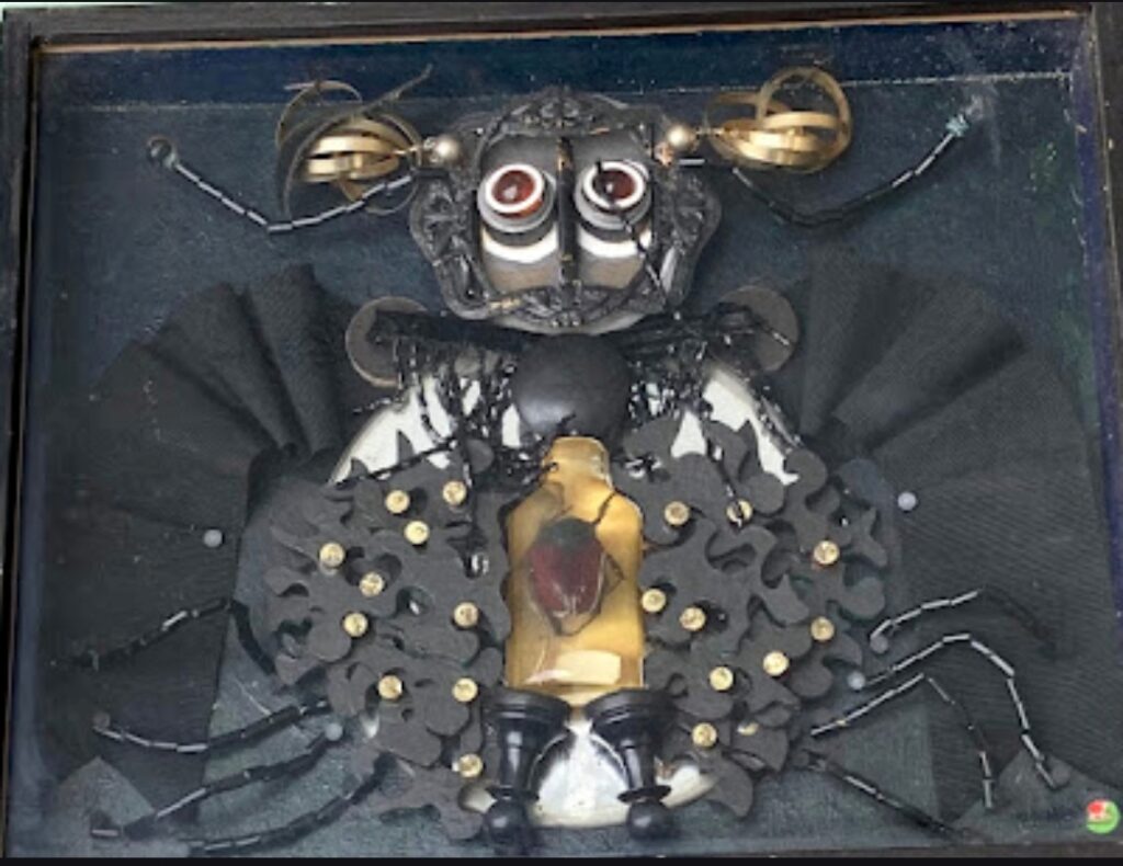 1974 La coquetterie de la mouche au miroir 34x28